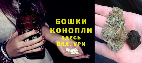 амф Липки
