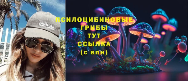 ГАЛЛЮЦИНОГЕННЫЕ ГРИБЫ Лихославль