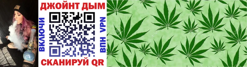 купить наркоту  Гдов  Бошки марихуана SATIVA & INDICA 